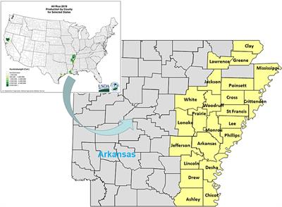 Fecundity and Seed Dormancy Variation Within and Among Echinochloa Species